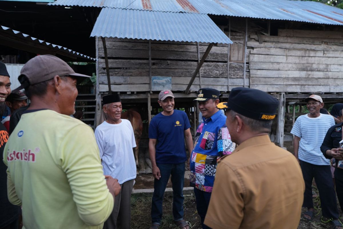 Pemprov Sulsel dorong limbah pisang cavendish jadi pakan alternatif