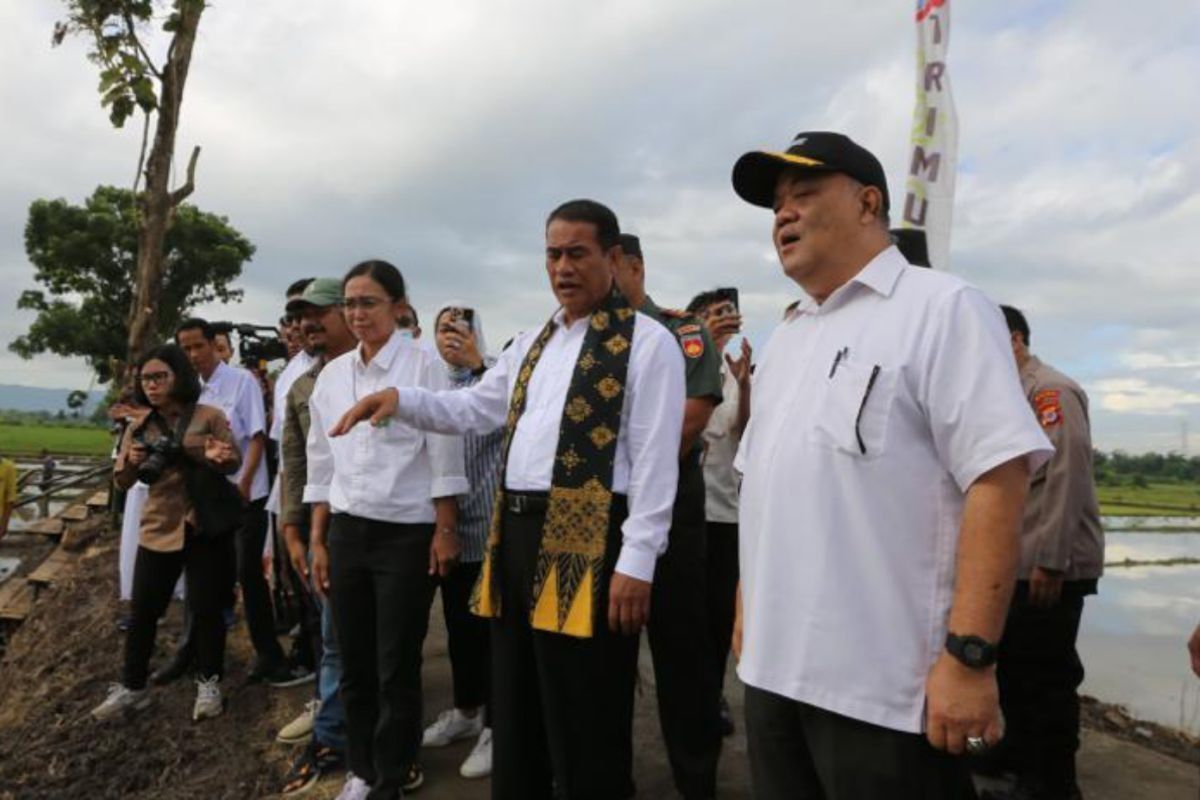 Mentan: NTB berhasil menyumbang produksi padi sebesar 880,99 ribu ton