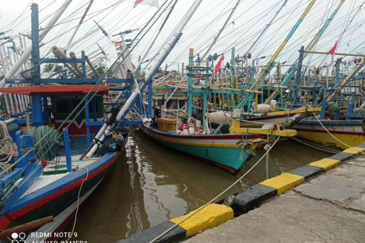 BMKG himbau agar Nelayan waspadai tinggi gelombang Samudra Hindia  4 meter