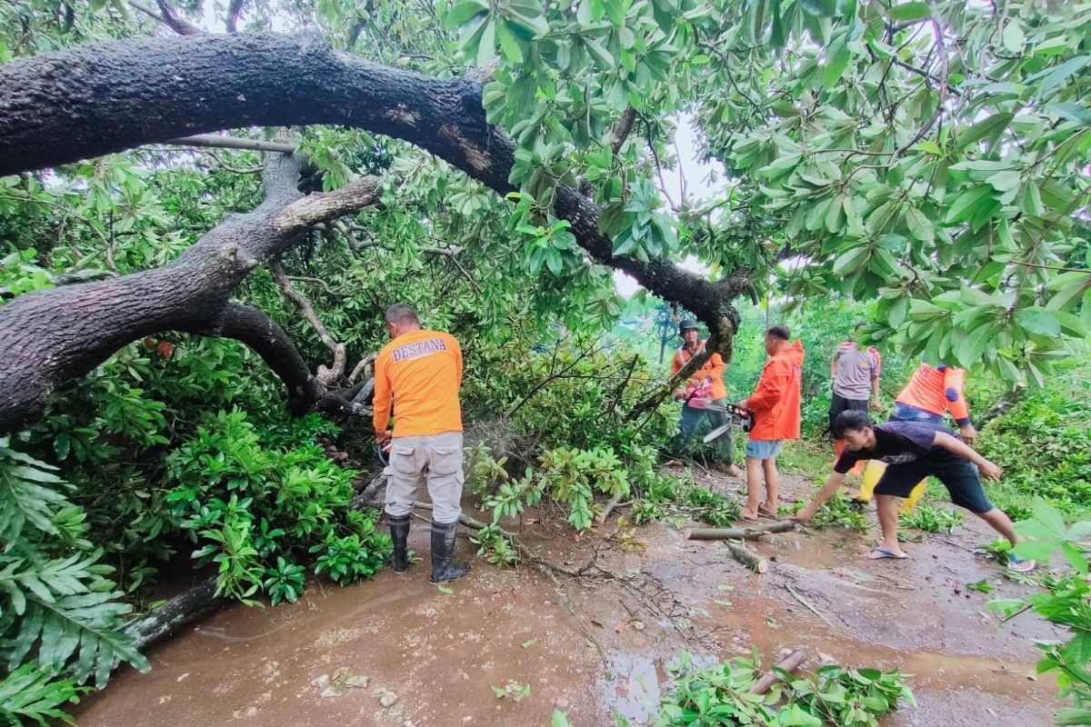 10 rumah rusak akibat angin kencang di Kudus