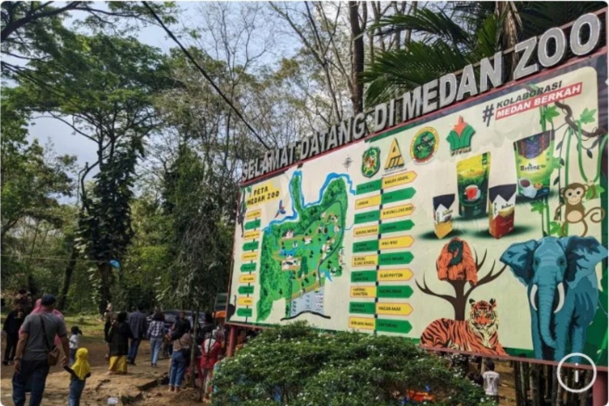 Medan Zoo diminta evaluasi terkait kematian empat ekor harimau