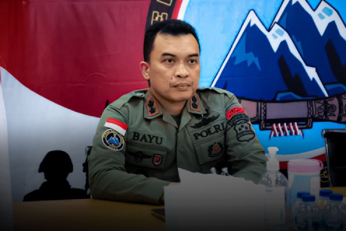 Polda Papua bilang ada indikasi KKB akan sandera istri pilot Selandia Baru