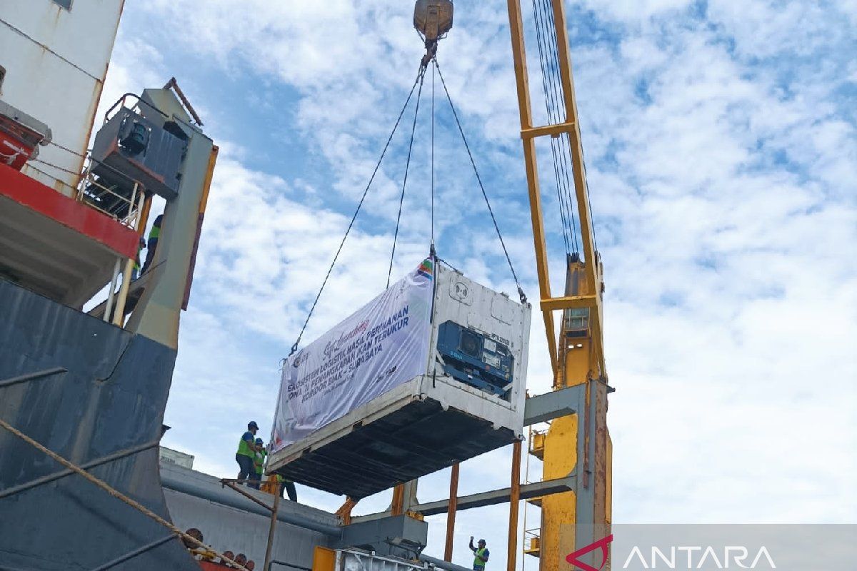 Pemkab Biak siapkan ekspor langsung 20 ton ikan tuna segar ke Jepang