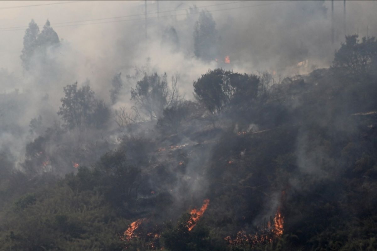 Kebakaran hutan di Chile, korban jadi 51 orang