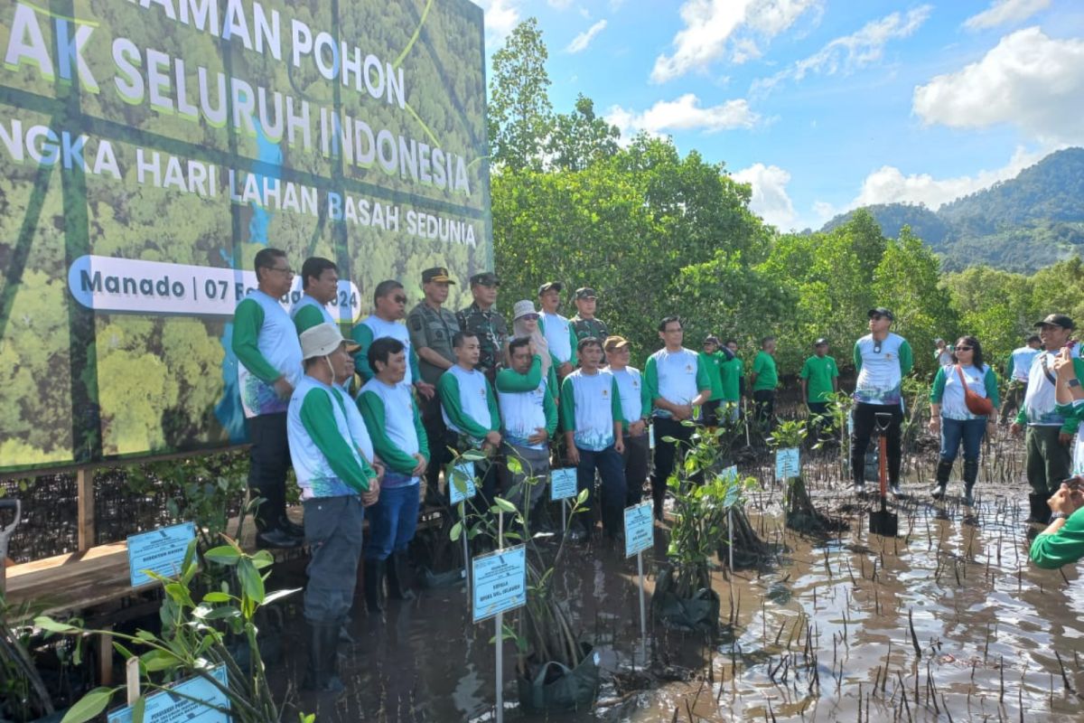 1.500 bibit mangrove ditanam di kawasan Taman Nasional Laut Bunaken