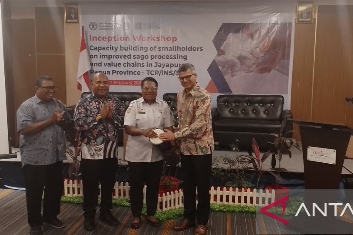 Pemkab Jayapura dorong OAP budi daya sagu sebagai makanan utama