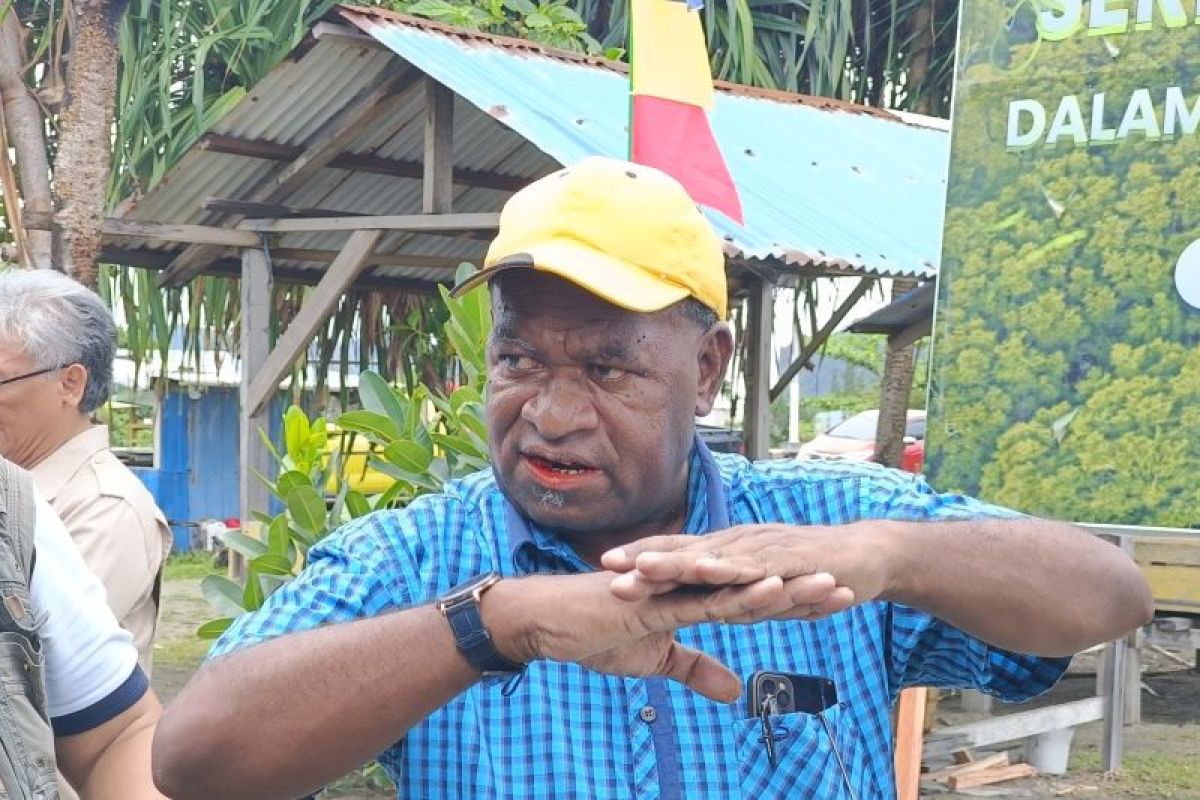 Dishut Papua berencana tanam pohon mangrove Kampung Kayo Batu