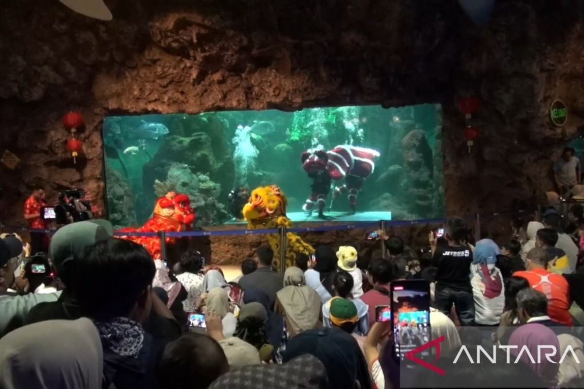 Gaet wisatawan, Ancol gelar barongsai-dragon bawah air