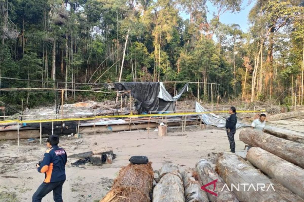 Bakar basecamp perusahaan PT BWL, seorang warga di Kapuas ditangkap polisi