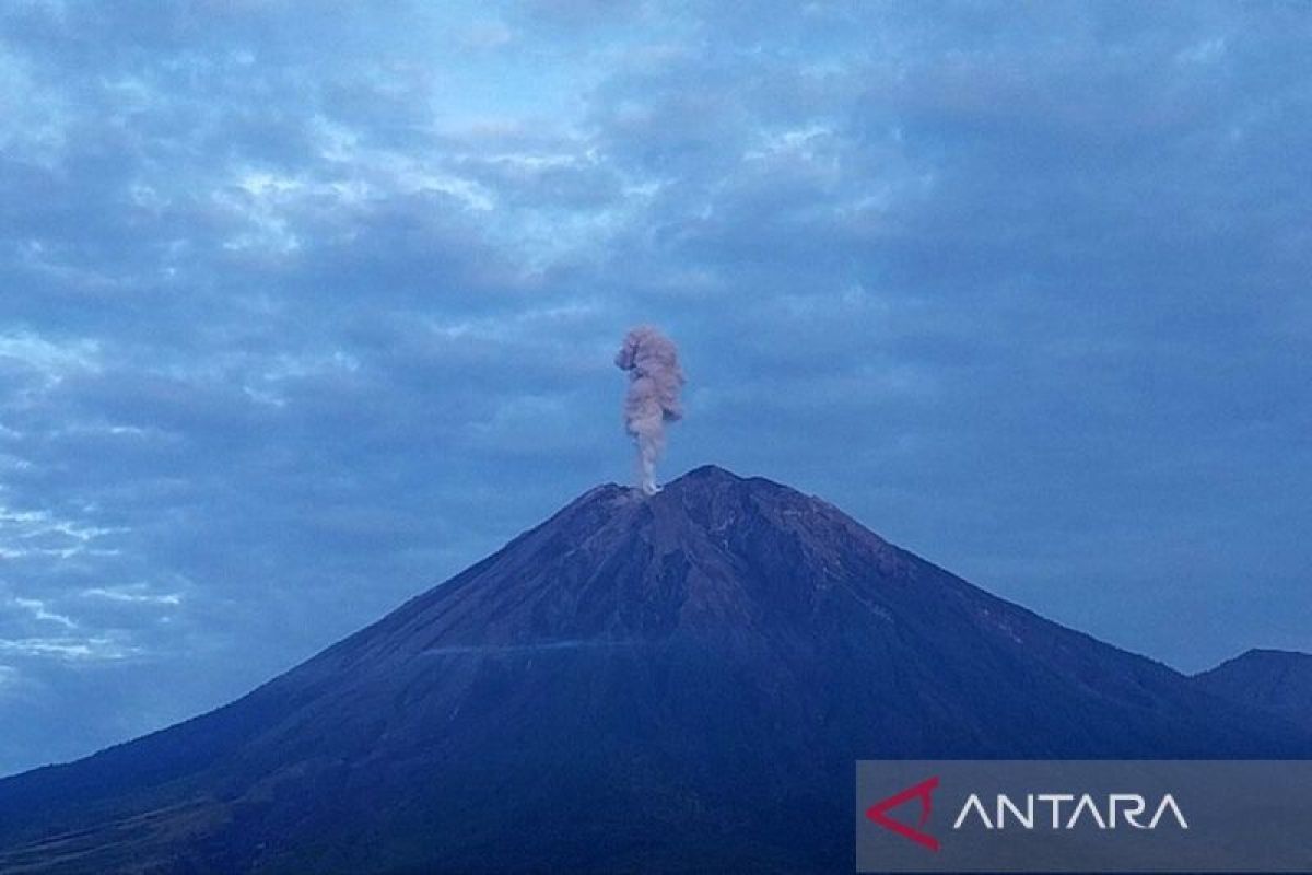 Gunung Semeru kembali erupsi dengan letusan hingga setinggi 1 km