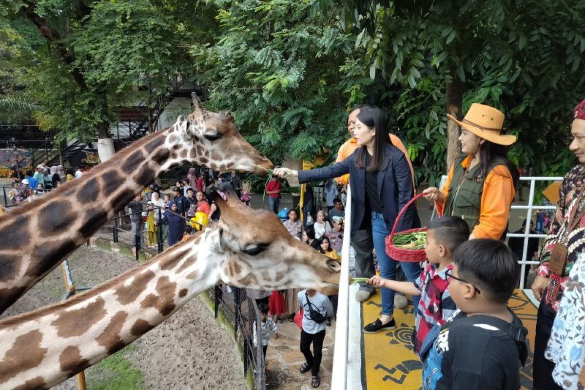 KBS berinovasi pascapandemi COVID-19 dongkrak wisatawan