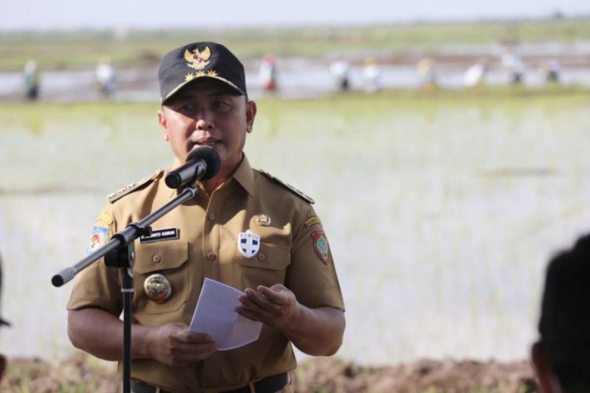 Pemprov Kalteng dorong pengembangan Lumbung Pangan Masyarakat