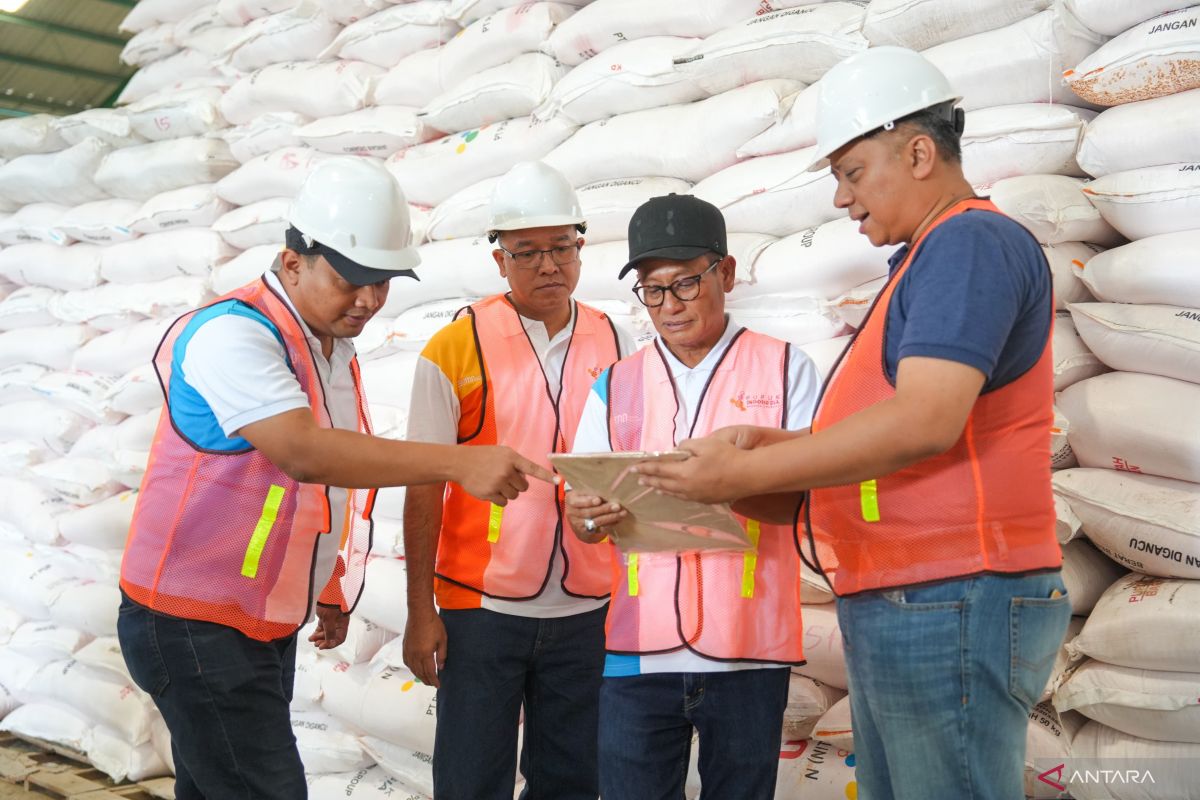 Petani di Bone dapatkan pupuk harga spesial tingkatkan produktivitas