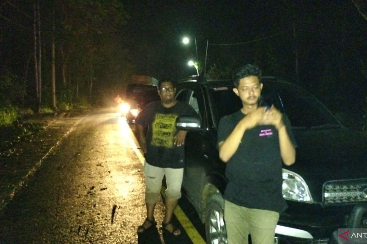 Pohon tumbang sebabkan lalu linzas di jalan lintas barat Krui-Tanggamus macet