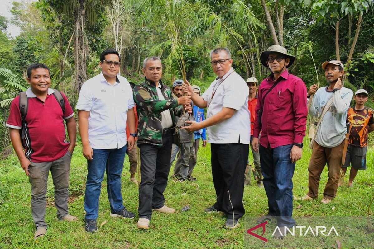 Dibantu Semen Padang, kelompok tani ini tanam 10.000 kaliandra merah