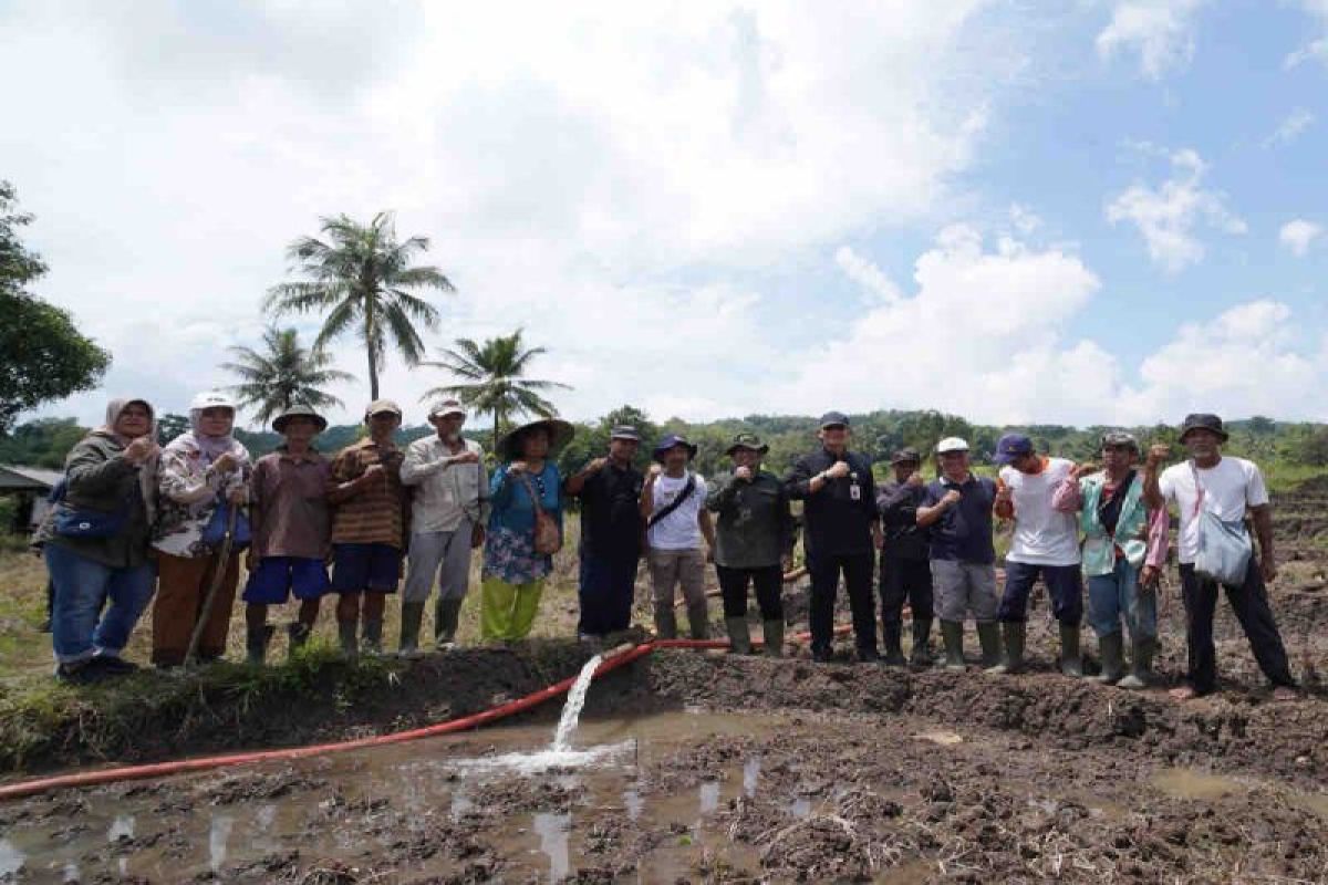 Kementan bantu percepatan tanam sawah bera