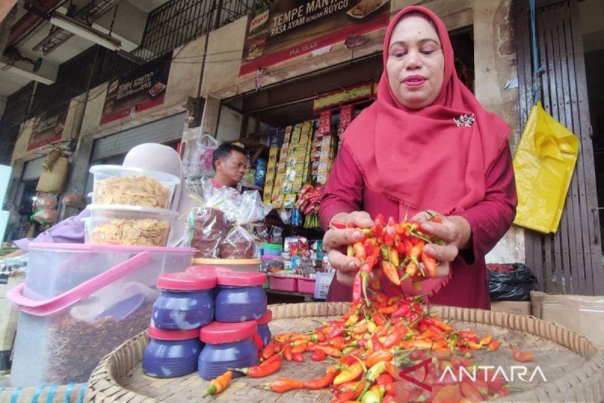 Harga cabai di Sampit melonjak imbas musim hujan