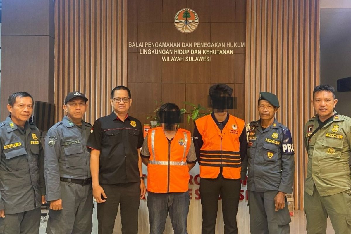 Gakkum KLHK Sulawesi bekuk dua pelaku perdagangan satwa dilindungi
