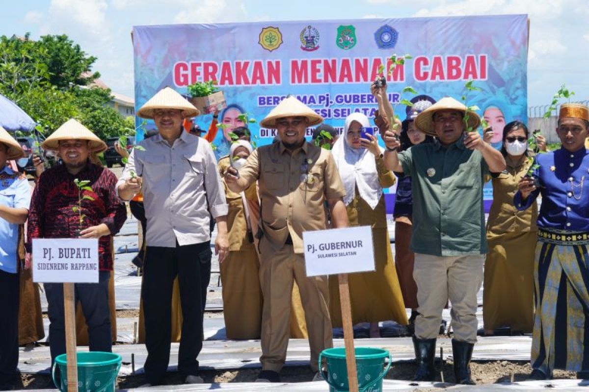 Pj Gubernur Sulsel tanam cabe dan sukun saat HUT ke-680 Sidrap