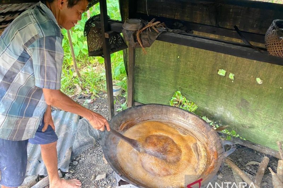 Mereguk manisnya air nira sambil menjaga Gunung Palung