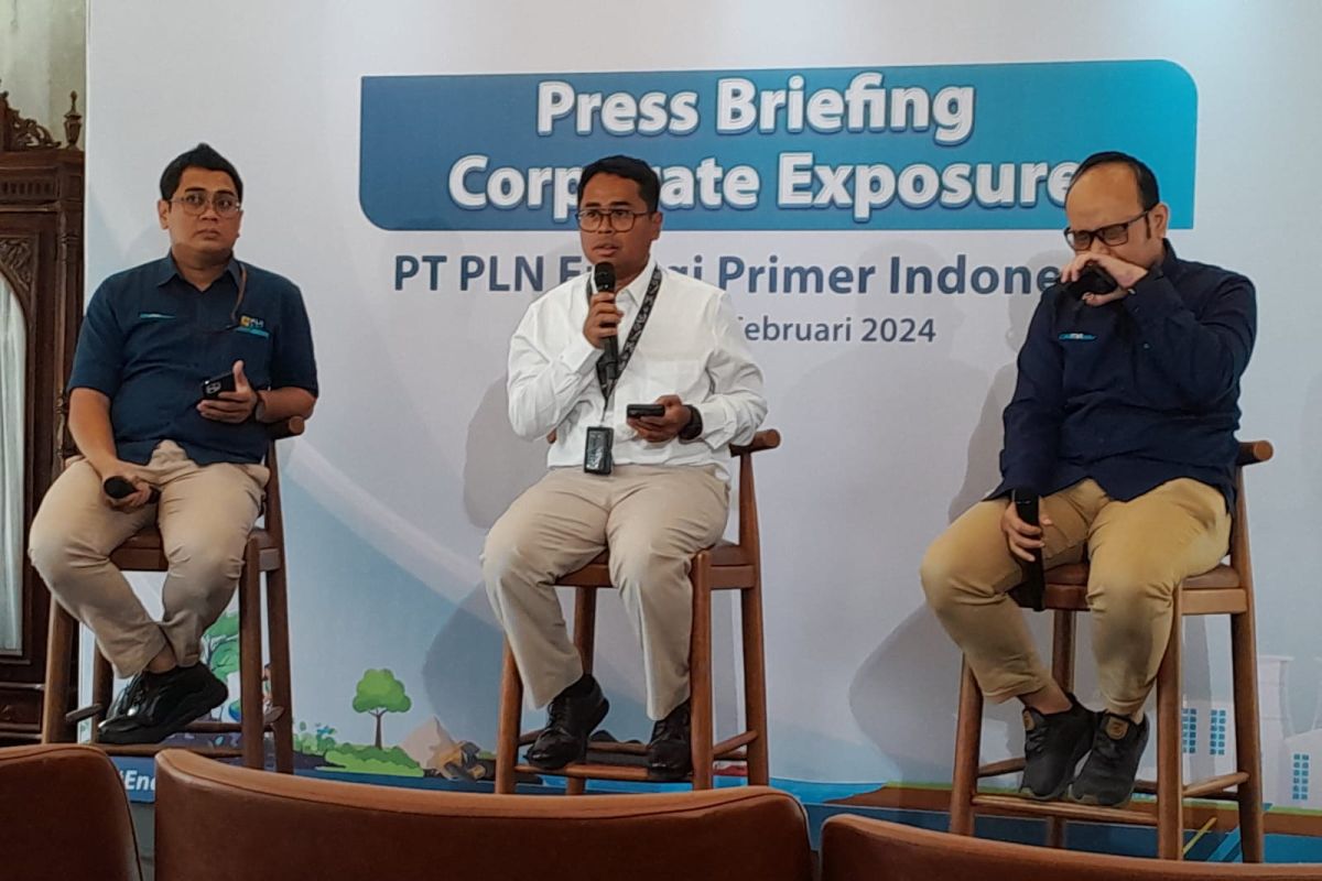 PLN EPI tetapkan lima langkah strategis pasokan energi primer