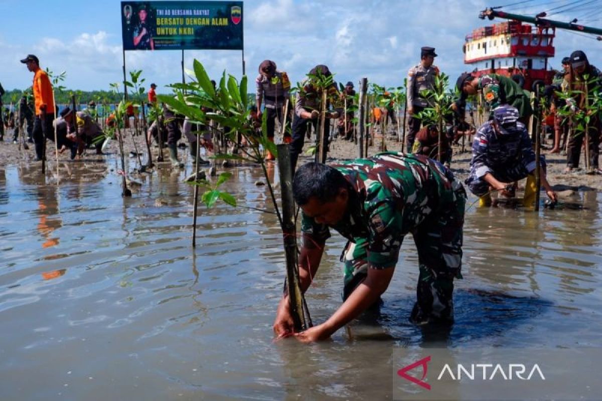 Kodim 0318 Natuna tanam ratusan bibit mangrove