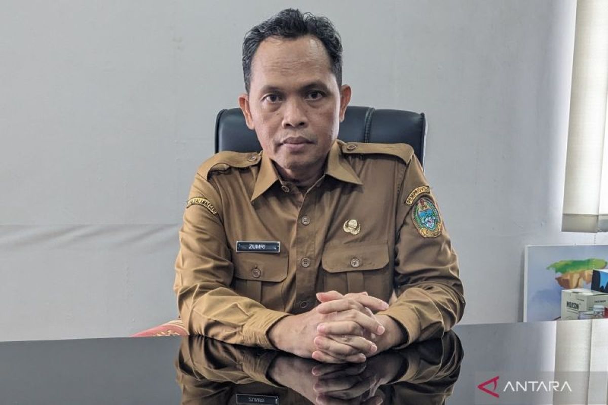 Kolaborasi dan promosi kunci capai target wisman ke Indonesia