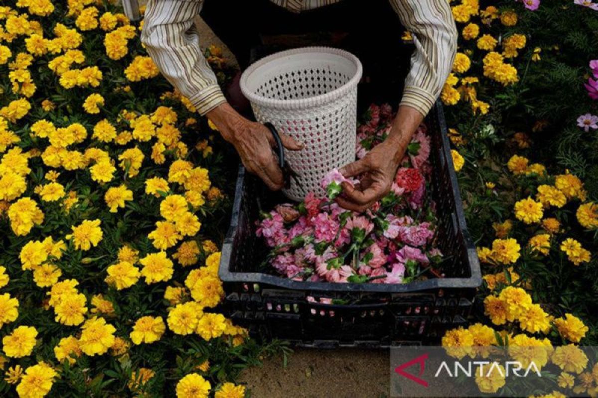 Pemprov NTT promosikan wisata di "Hong Kong Flower Show" 15-24 Maret