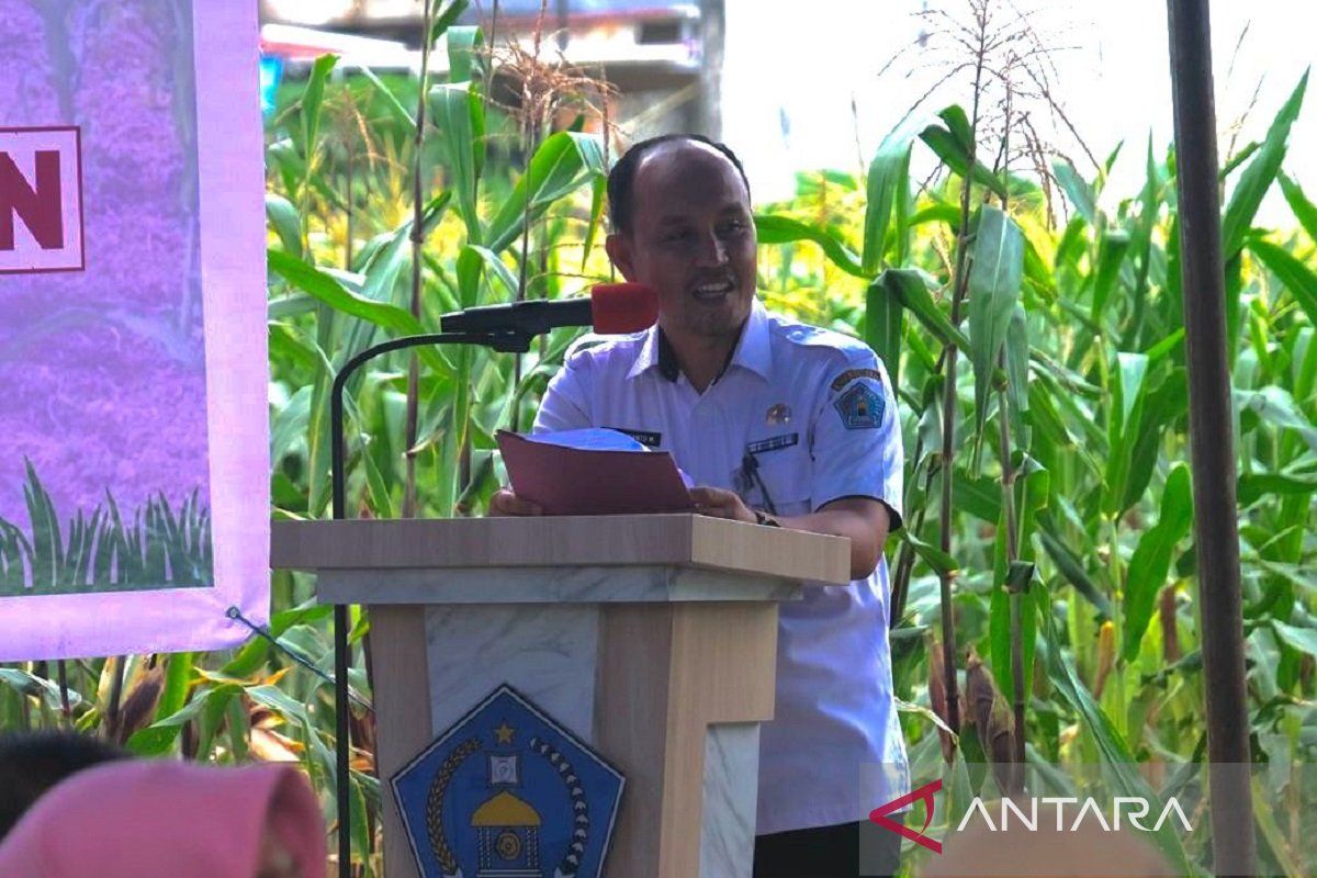 Dinas Pertanian Kendari galakkan pemanfaatan lahan tidur untuk pertanian