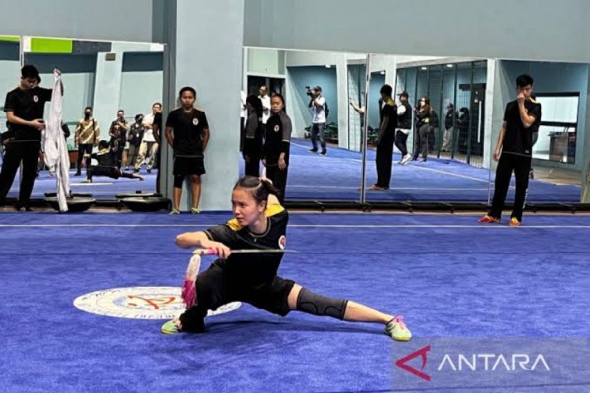 Wushu Indonesia harapkan pelatnas atlet tidak boleh terputus