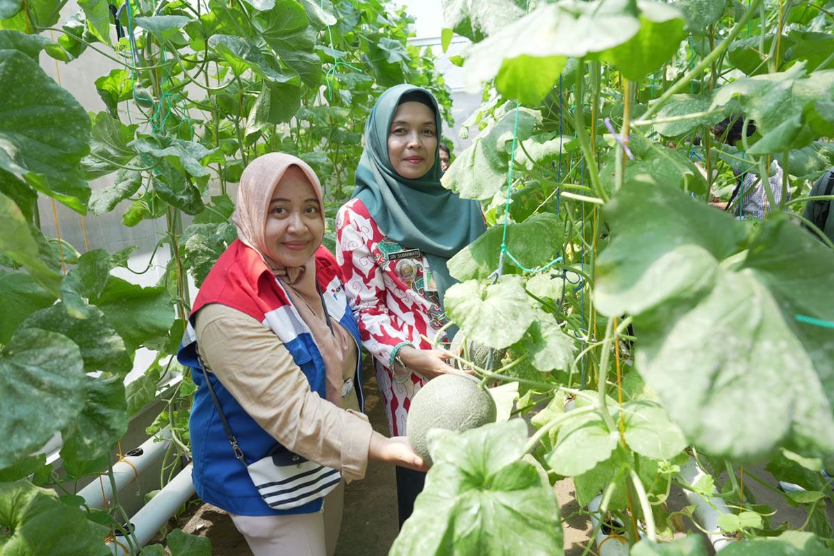 Kilang Cilacap-Kampung Berkualitas "Gadis" adakan pelatihan hidroponik