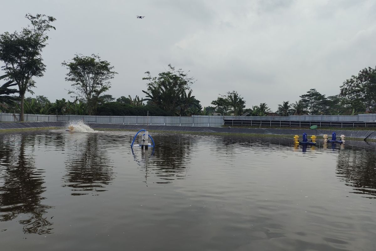 DKP Lampung catat bantuan 1,3 juta ekor benih ikan tersalurkan di 2023