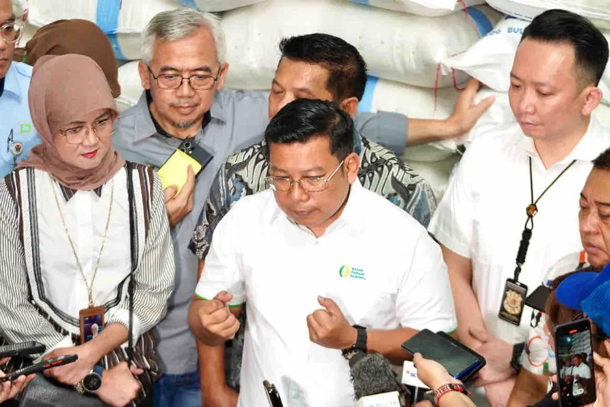 nfa-forecasts-rice-price-dip-during-harvest-season