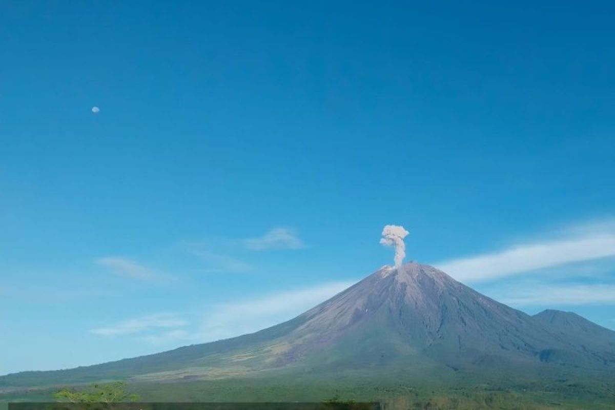 Gunung Semeru memuntahkan kolom abu setinggi 900 meter