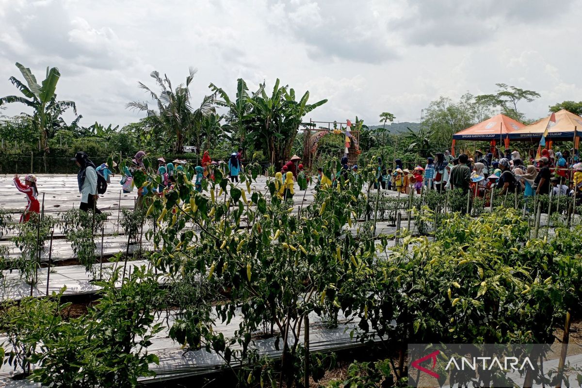 Kampung Kreatif Karisma Pertamina dibangun di Karangrena Cilacap