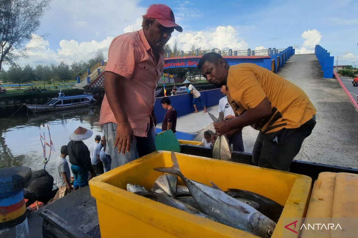 Produksi ikan tangkap Pariaman 2023 capai 6 ribu ton