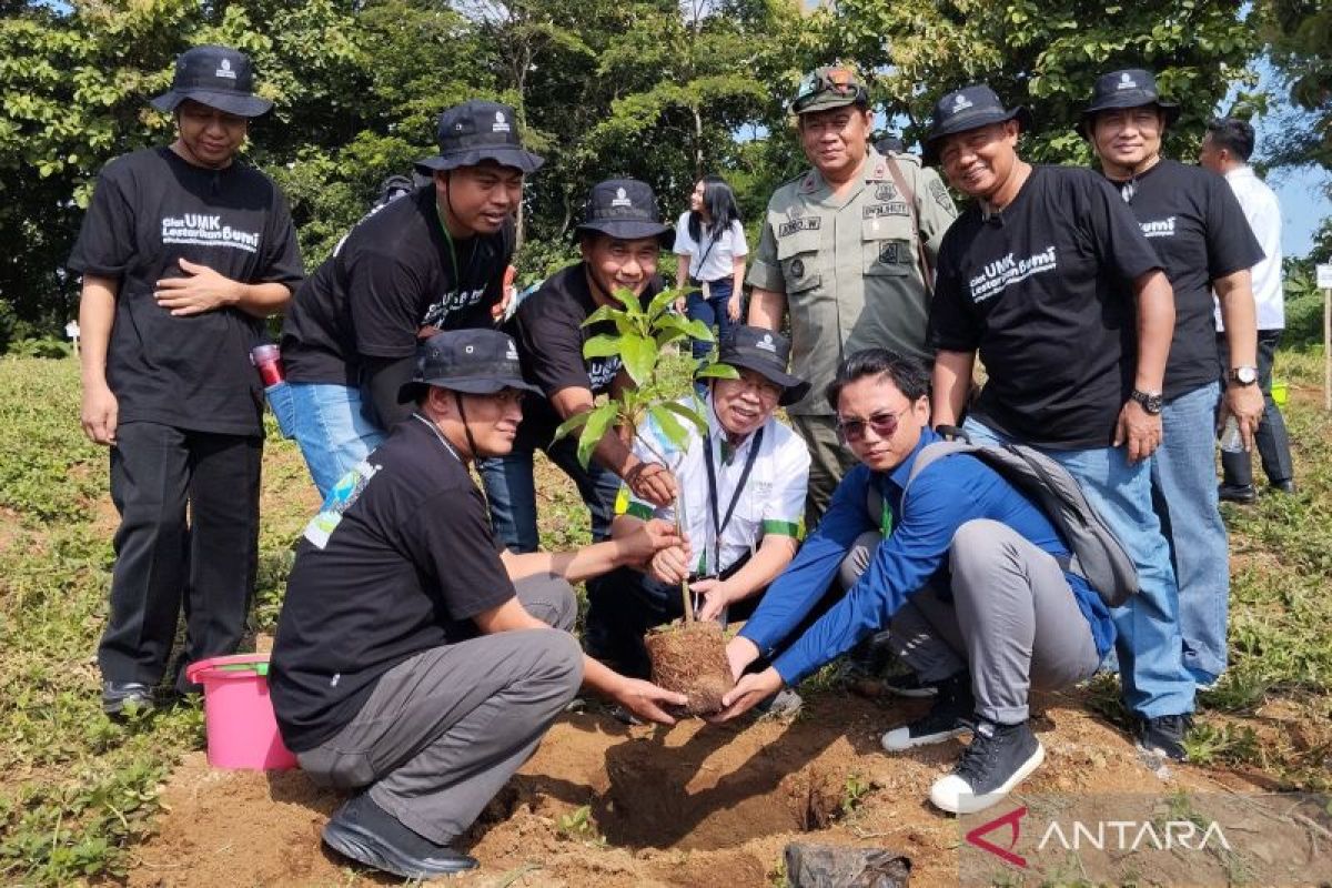 Ratusan mahasiswa  UMK dilibatkan penanaman pohon produktif