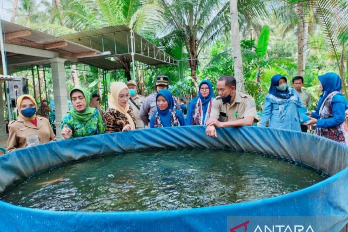 Kulon Progo mendorong pengelola unit pembenihan optimalkan potensi pasar