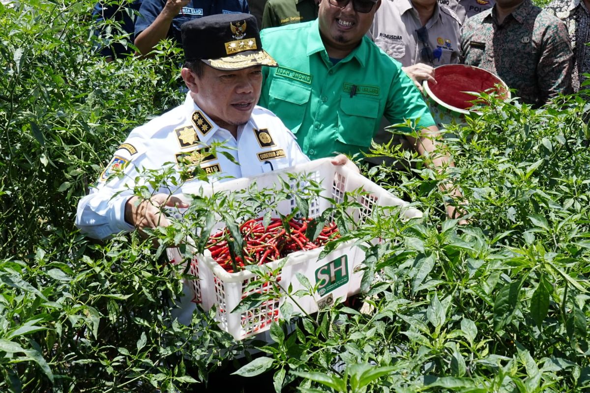 Sumsel berperan cukupi kebutuhan beras Jambi