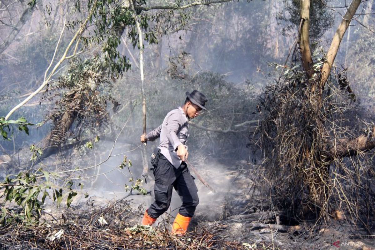 Ingatkan perusahaan ikut patroli karhutla, Kapolda Riau : Kalau ada kebakaran, kami sikat