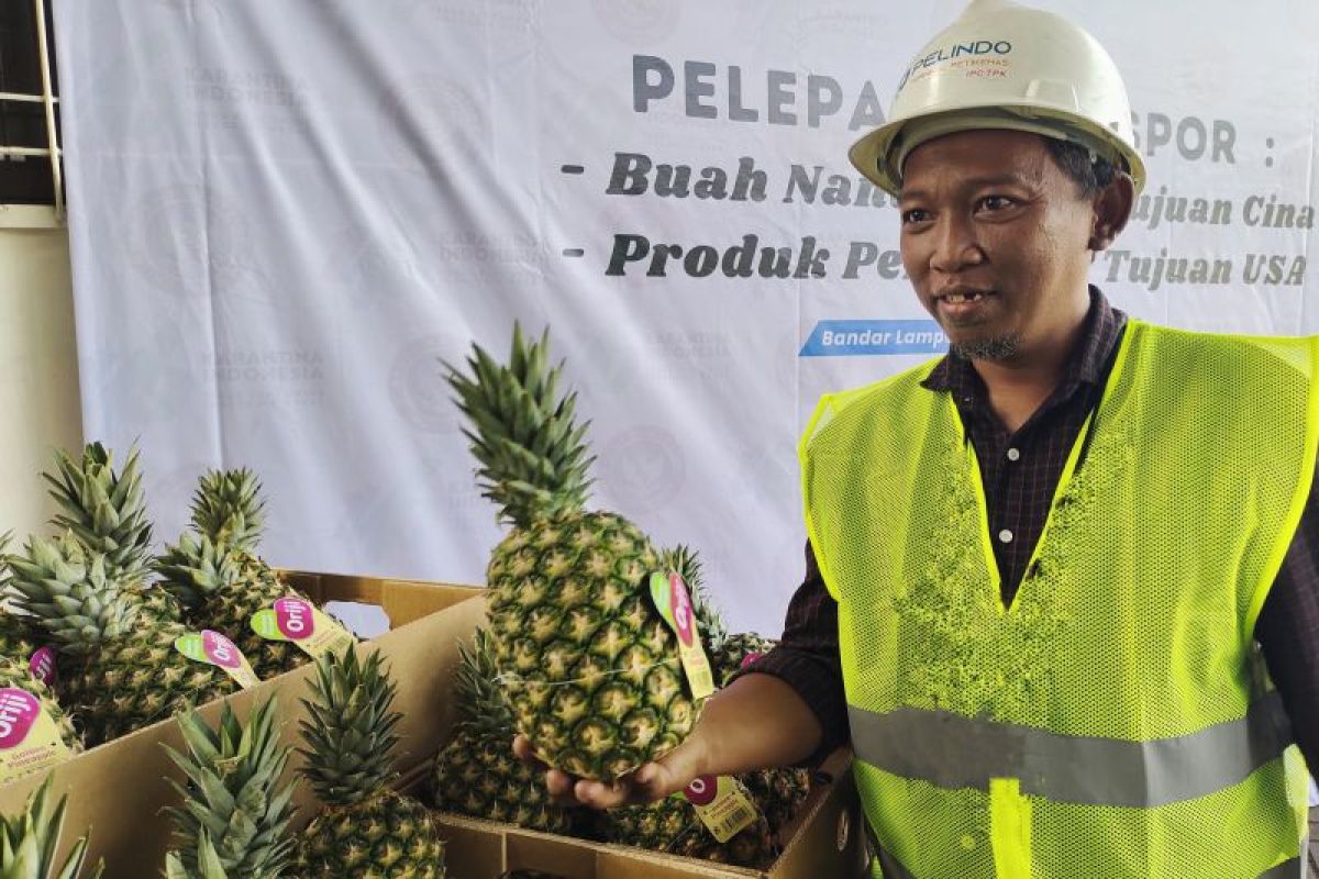 BKHIT Lampung sebut ekspor buah segar jadi potensi ekonomi daerah