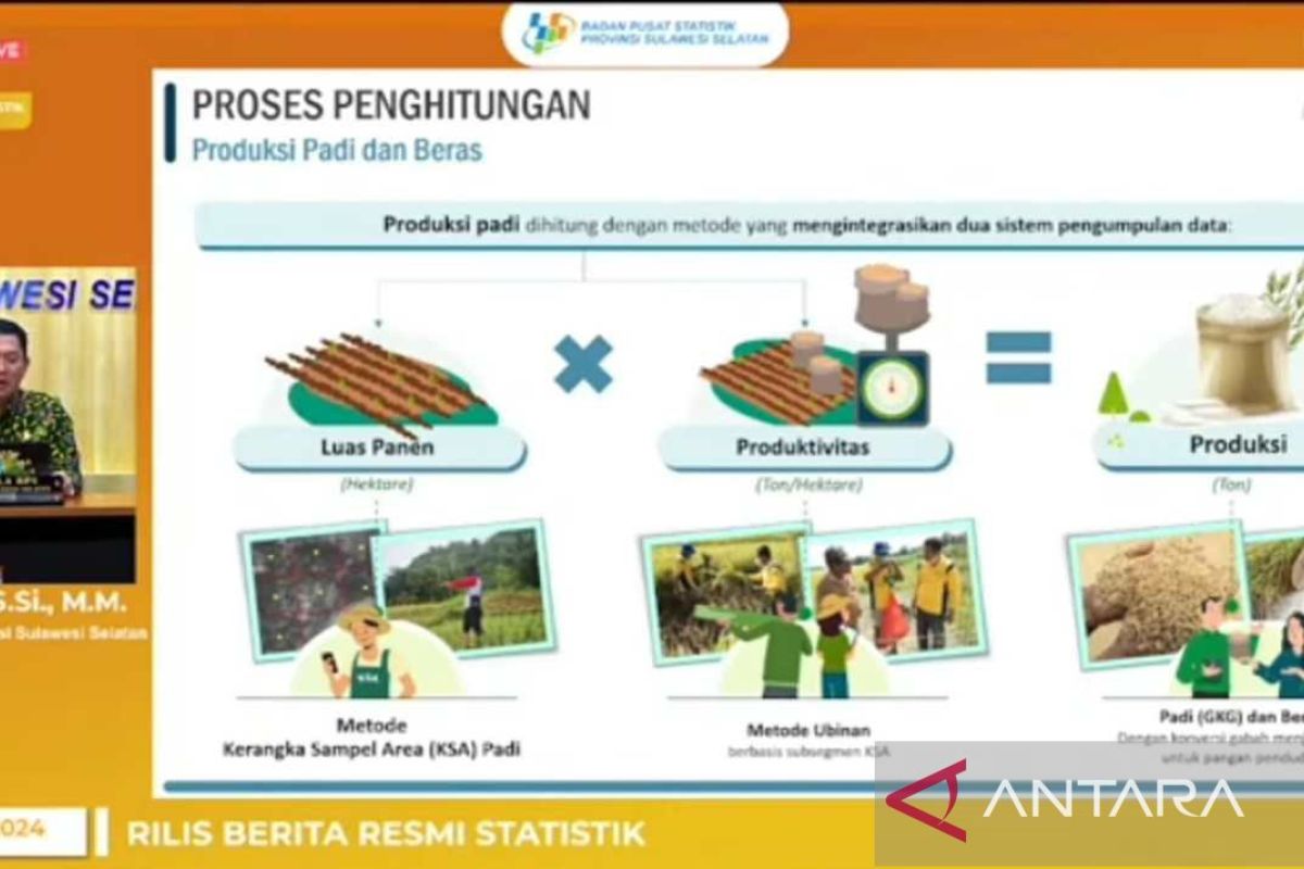 BPS: Luas panen padi Sulsel pada 2023 capai 970 ribu hektare