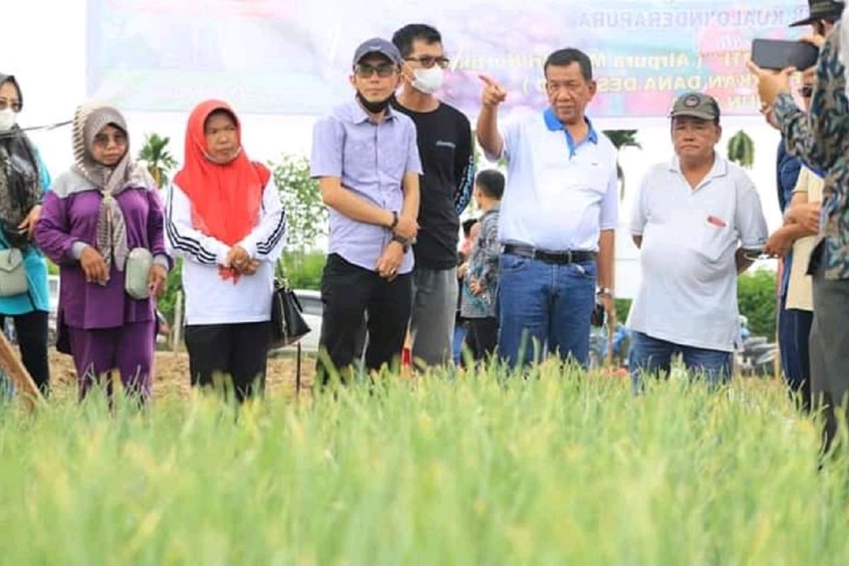 Pacu produksi, Bupati Pesisir Selatan minta penyuluh ekstra dampingi petani