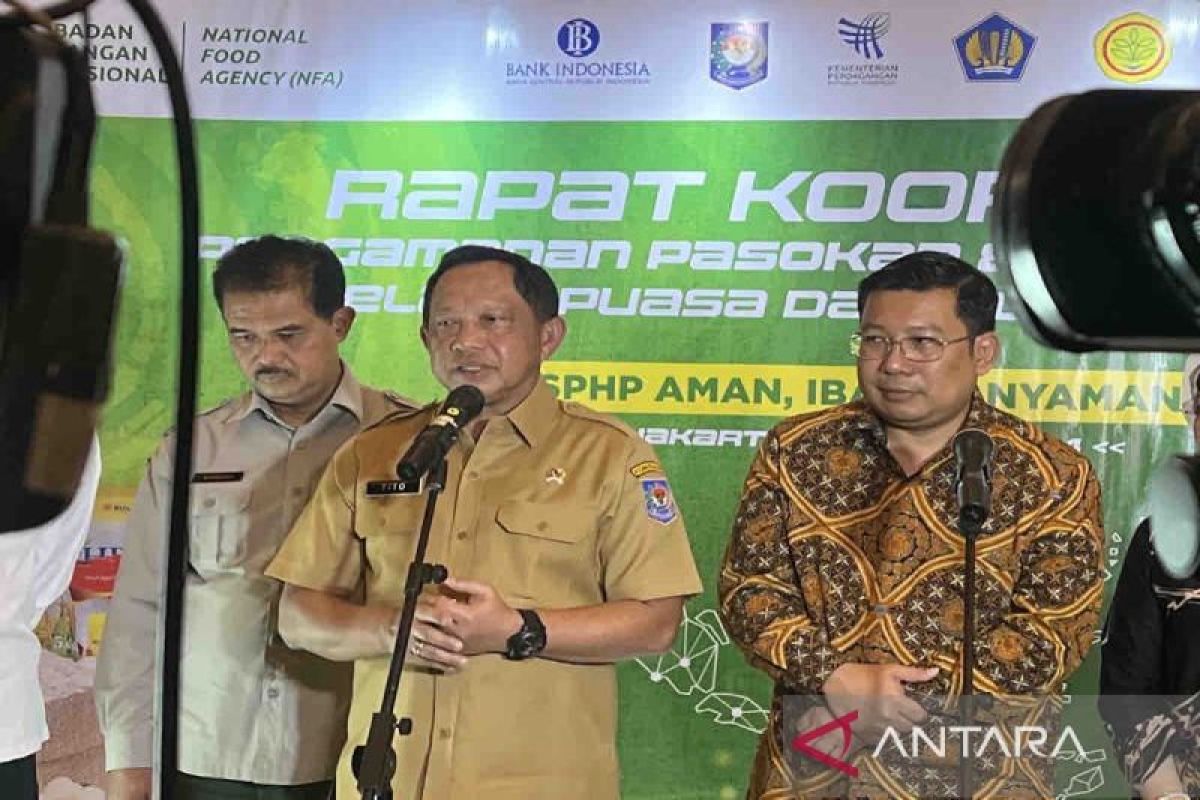 Mendagri harapkan maskapai penerbangan tak naikkan harga tiket saat mudik