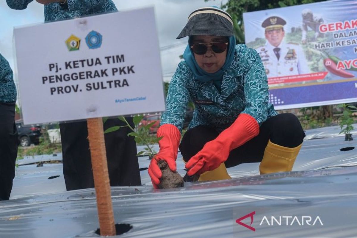 TP PKK Sultra laksanakan gerakan tanam bibit cabai