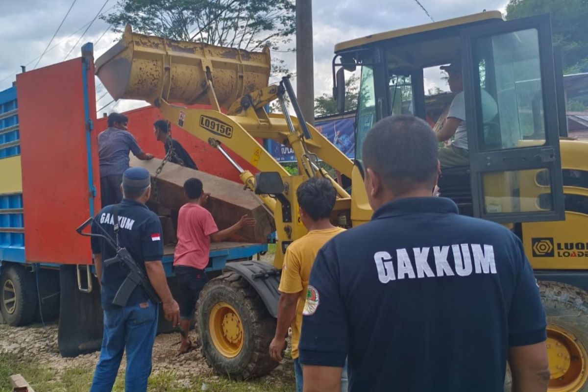 Gakkum KLHK Sulawesi tangkap makelar kayu ilegal di Toraja Utara