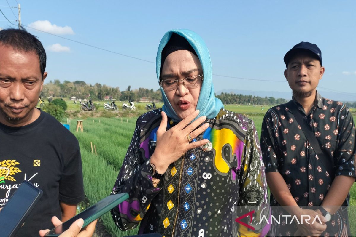 Jaga ketahanan pangan, pemangku kepentingan diminta koordinasi dengan petani