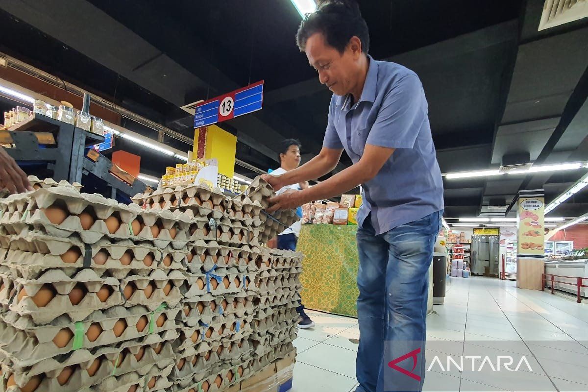 Pemprov Papua tingkatkan pengawasan telur ayam ras luar daerah