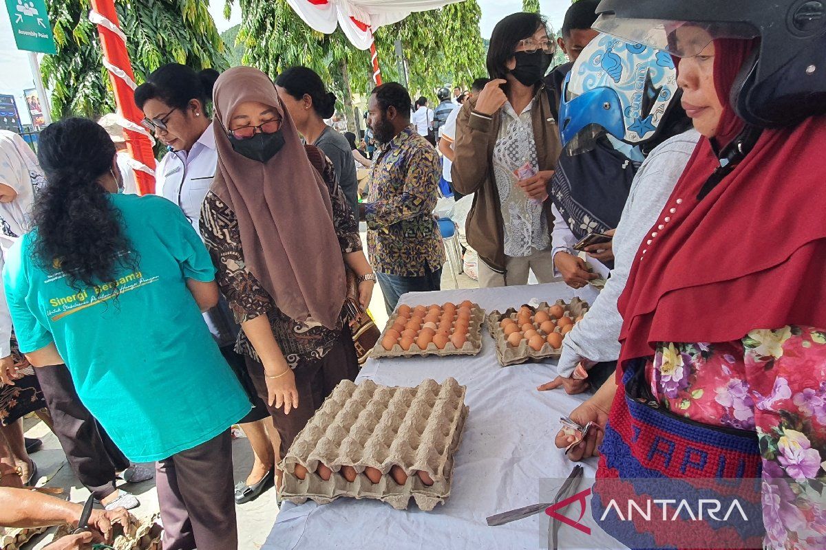 Asosisasi Peternak Ayam Petelur Tabi siapkan satu juta telur ayam