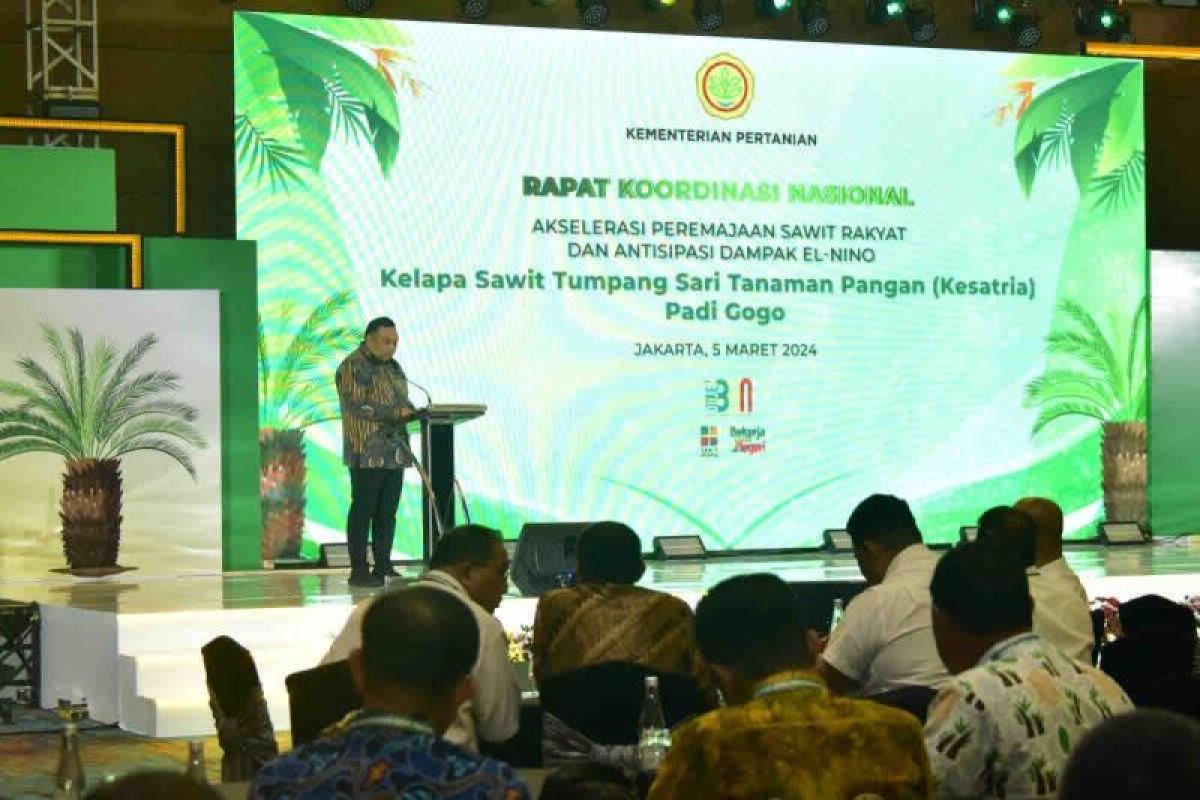 Kementan menyusun konsep Papua sebagai pulau energi terbarukan